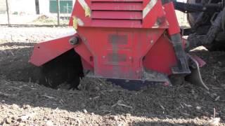 Der Forstexperte – Rodefräsen mit dem Massey Ferguson 8480 und AHWI RF 800