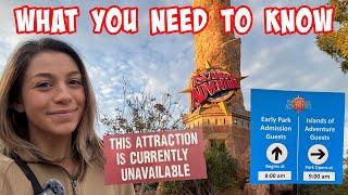 Universal Orlando Updates You Need To Know | What To Look Out For in 2025!