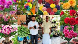 ചെടികൾ വിൽക്കുന്ന മനോഹരമായ  വീട് | Flower Plant Home Garden Visit Kerala | Vasi Vlogs