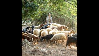 An Up-Close Look at Small-Scale Food Producers and Farmers in Lebanon with Sawsan Shaaban