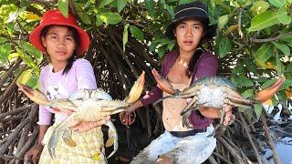 Unique Fishing - Catching Huge Mud Crabs at Swamp after Water Low Tide