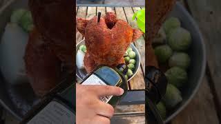 Beer can chicken recipe