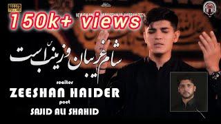 Zeeshan Haider || New Noha 24 || وای از دل زینب  || Muharram ul Haram || #azadar #muharram2024