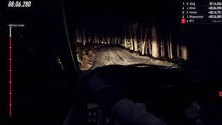 dirt rally 2.0 катаем под карпотки кадавра