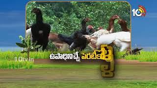 Matti Manishi Full Episode | మట్టి మనిషి | Agriculture Tips | 01-11-2024 | 10TV Agri