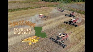 Big Louisiana 2021 Soybean Harvest