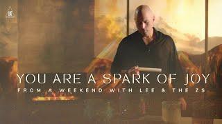 You Are a Spark of Joy  Channeled segment from 'A Weekend with Lee and the Z's 2024'