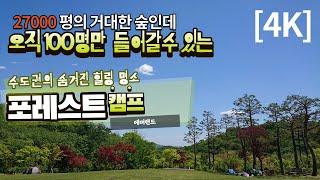 [4K]오직 100명만 들어갈수있는 숨겨진 힐링 명소, (에버랜드 포레스트캠프)