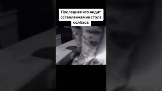  #коты #котики #смешноевидео #кошки #top #топ