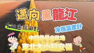 邁向黑龍江 中國最早金秋地東北大小興安嶺/千畝金秋田野/冷極溫度計/東北夜生活 #香港 #旅行 #旅行團 #中國旅遊 #東北 #大興安嶺 #小興安嶺 #冷極溫度計 #黑龍江 #林海 #金秋 #秋色