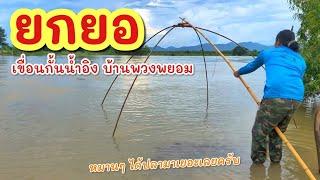 ยกยอ ลูกชะโดน้ำอิง ►Fishing lifestyle Ep.775