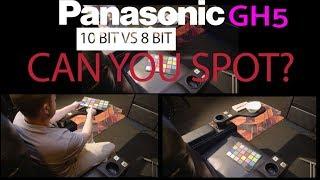 Panasonic GH5: An Inconvenient Truth - Color Space can you really see a difference? 10 bit vs 8 bit