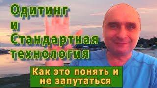 Одитинг и стандартная технология - Александр Земляков - подкасты про одитинг 180