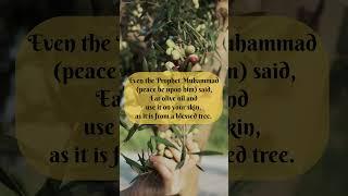 Barakah Bites: 1-Min Qur’an Superfood for Kids – Olive, The Blessed Bite!