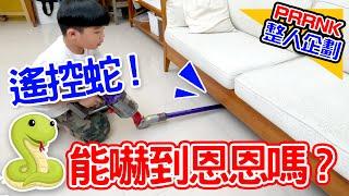 | 整人PRANK | 趁恩恩打掃時，遙控小蛇衝出來 恩恩會被嚇到嗎 ft.@dyson@dyson   - 恩恩老師 @EanTV