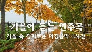 가을에 듣는 연주곡가을 속 감미로운 아침음악 3시간  힐링음악, 요가음악, 명상음악, 스트레스해소음악 (Autumn piano)