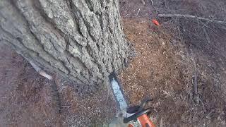 RUNNING THE STIHL MS441 MAGNUM