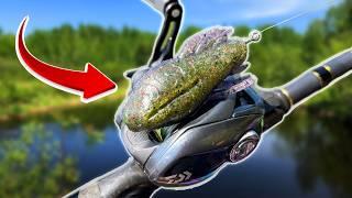 This NEW LURE Will SURPRISE YOU! | Big Bite Baits BSE (Best Skipper Ever!)