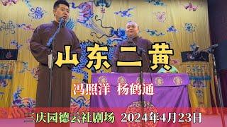 【2024德云社最新相声】《山东二黄》#冯照洋 #杨鹤通 三庆园德云社剧场 2024年4月23日（星期二）午场 #德云社  #德云社 #郭德纲 #于谦