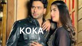 Koka song In this video you enjoy full punjabi Song#grentertainment#grmusicbank