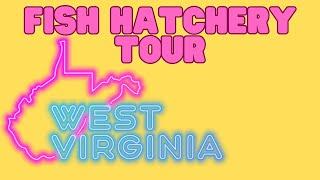 Fish Hatchery Tour | West Virginia Wildlife