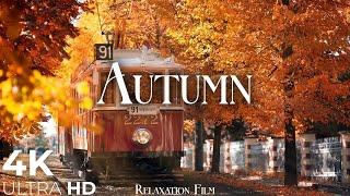 Autumn 4K • Scenic Relaxation Film with Peaceful Relaxing Music and Nature Video Ultra HD