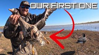 NEW SPECIES | PUBLIC LAND DUCK HUNTING (Catch Clean Cook)