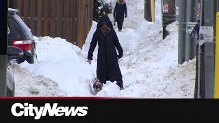 Mayor Olivia Chow asks for review of Toronto's snow clearing contracts