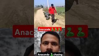 Anaconda snake chasing boy #snake #snakevideo #youtubeshorts @Runfuntv @KrishnaReactino