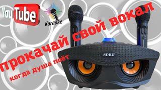 караоке bluetooth система sdrd sd 306 два микрофона