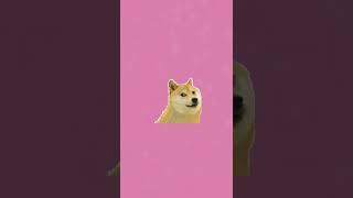 Viral Doge will become the most viewed short on YT! Share share share! #meme #crypto #invest #viral