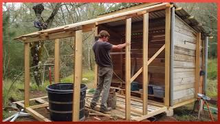 Man Builds Amazing DIY Wood Cabin in the Forest Start to Finish | by @matt.jacobs1