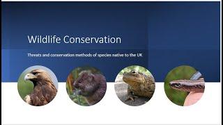 Wildlife Conservation in the UK - a Scottish perspective.