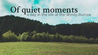 a day in the life at the Windy Burrow | Of quiet moments | silent vlog