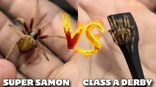 SUPER SAMON LABAN SA CLASS A TAGALOG