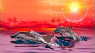 Dolphin Sounds Root Chakra 396hz Sirian Starseed Healing Music