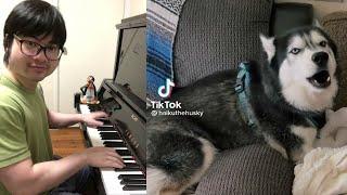 Piano Duet with Husky singing a Soulful Song