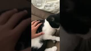 Am I faster??