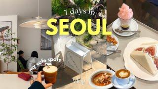 Seoul Vlog Seoul cafe hopping️ Seongsu&Yeonhui tour, Hidden aesthetic spots Han river picnic