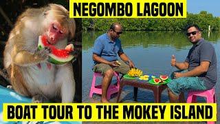 Negombo Lagoon Boat Tour to The Monkey Island