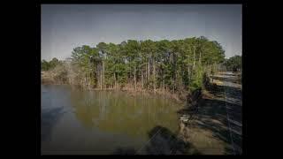1413 Park Ave, Perry GA 31069 | Kamerin Bazemore