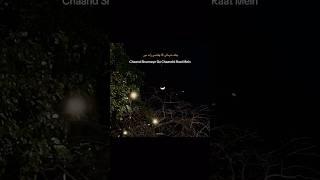 Find someone who sends you this WHATSAPP STATUS | NFAK STATUS | NFAK QAWALLI | #qawwali #nfak