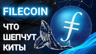  FILECOIN ЧТО ШЕПЧУТ КИТЫ? | FIL ПРОГНОЗ #fil #filecoi̇n