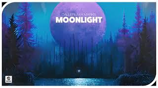 Dallerium x Markis - Moonlight (Official Audio)