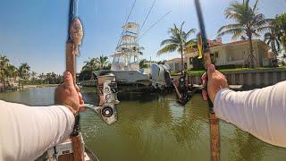 Fishing Million Dollar Florida Residential Canals and Caught a Monster!!