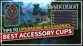 Best Accessory Cups to get for PvE & PvP 2024 Guide | Black Desert