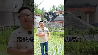 定军山，黄忠刀劈夏侯渊就在这里，武侯墓武侯祠也在这里！#全能导游 #旅行大玩家 #看山河