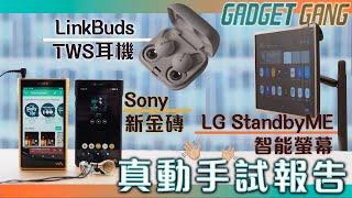 【近排試過乜?】Sony新金磚、新黑磚除咗平貴，平位都有分別！/穿窿TWS耳機LinkBuds開箱實測/LG Standy ME螢幕剩係好碌都要讚！