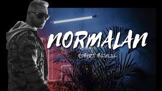 ROBERT BIJELIC - NORMALAN (OFFICIAL VIDEO) • 2017 •