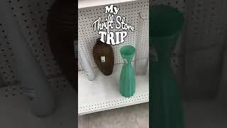 Thrift Store Trip No.1 Goodwill